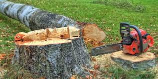 Best Utility Line Clearance  in Corning, NY